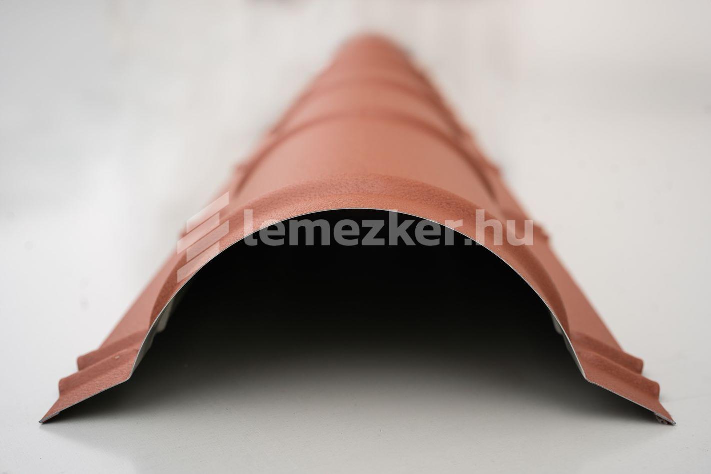 Íves gerincelem - 10