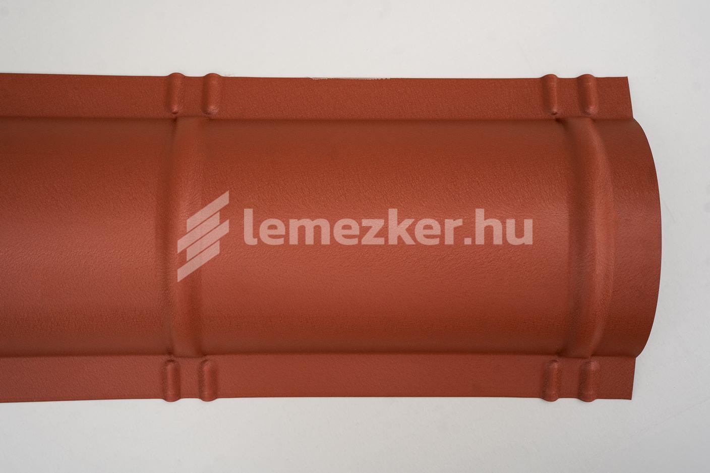 Íves gerincelem - 12