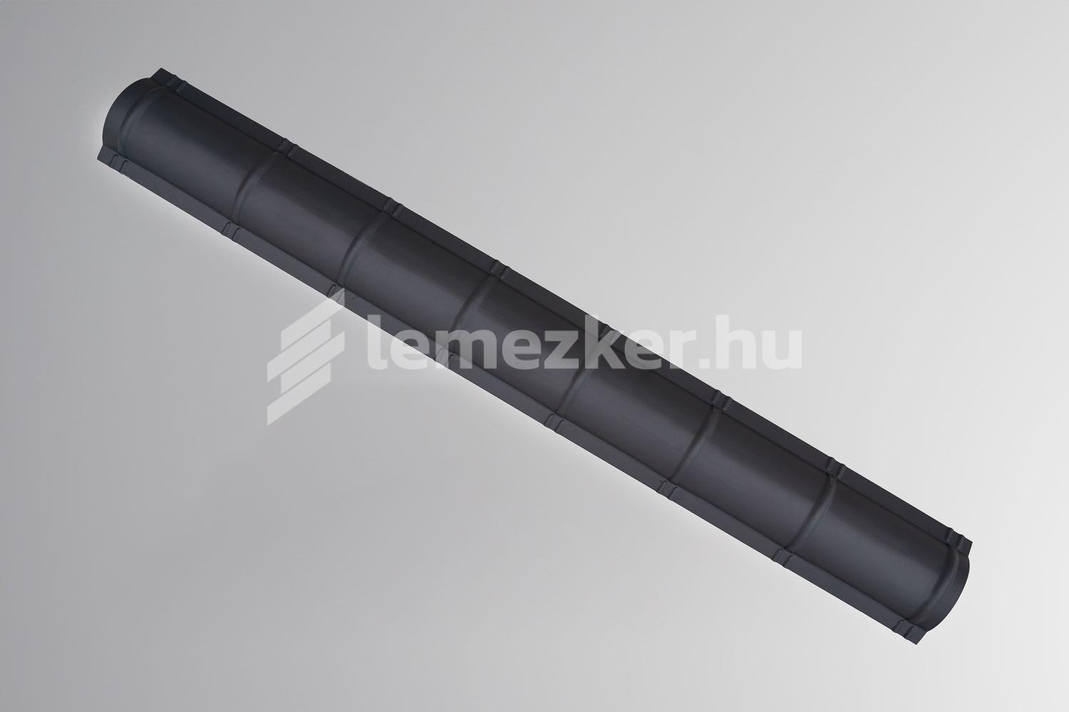 Íves gerincelem - 4