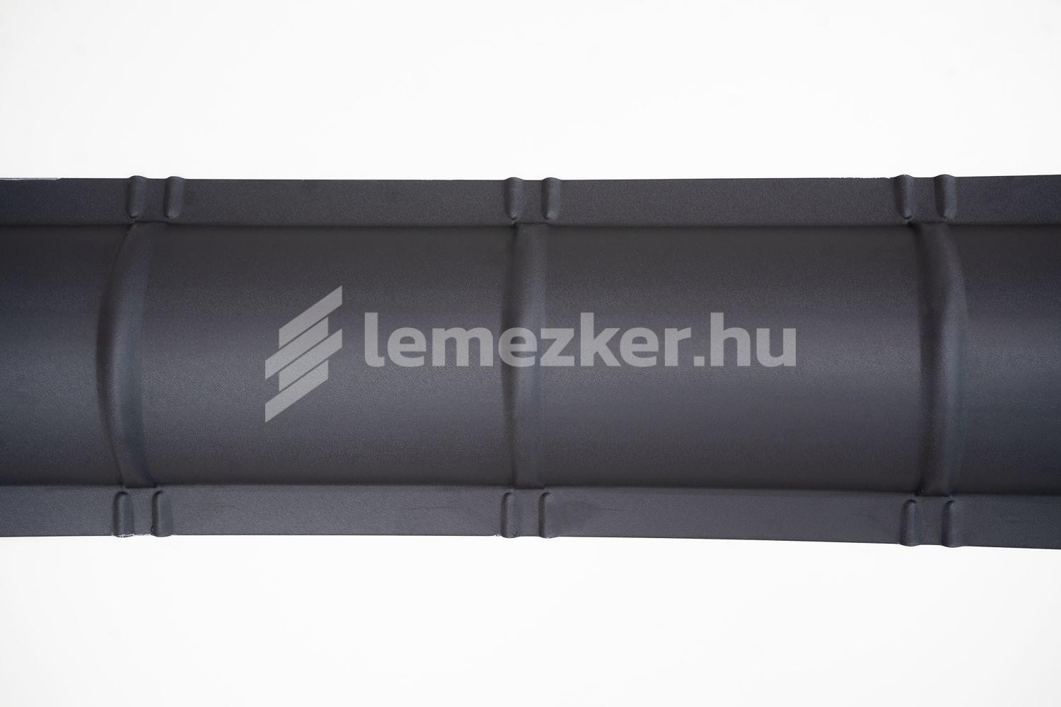 Íves gerincelem - 5