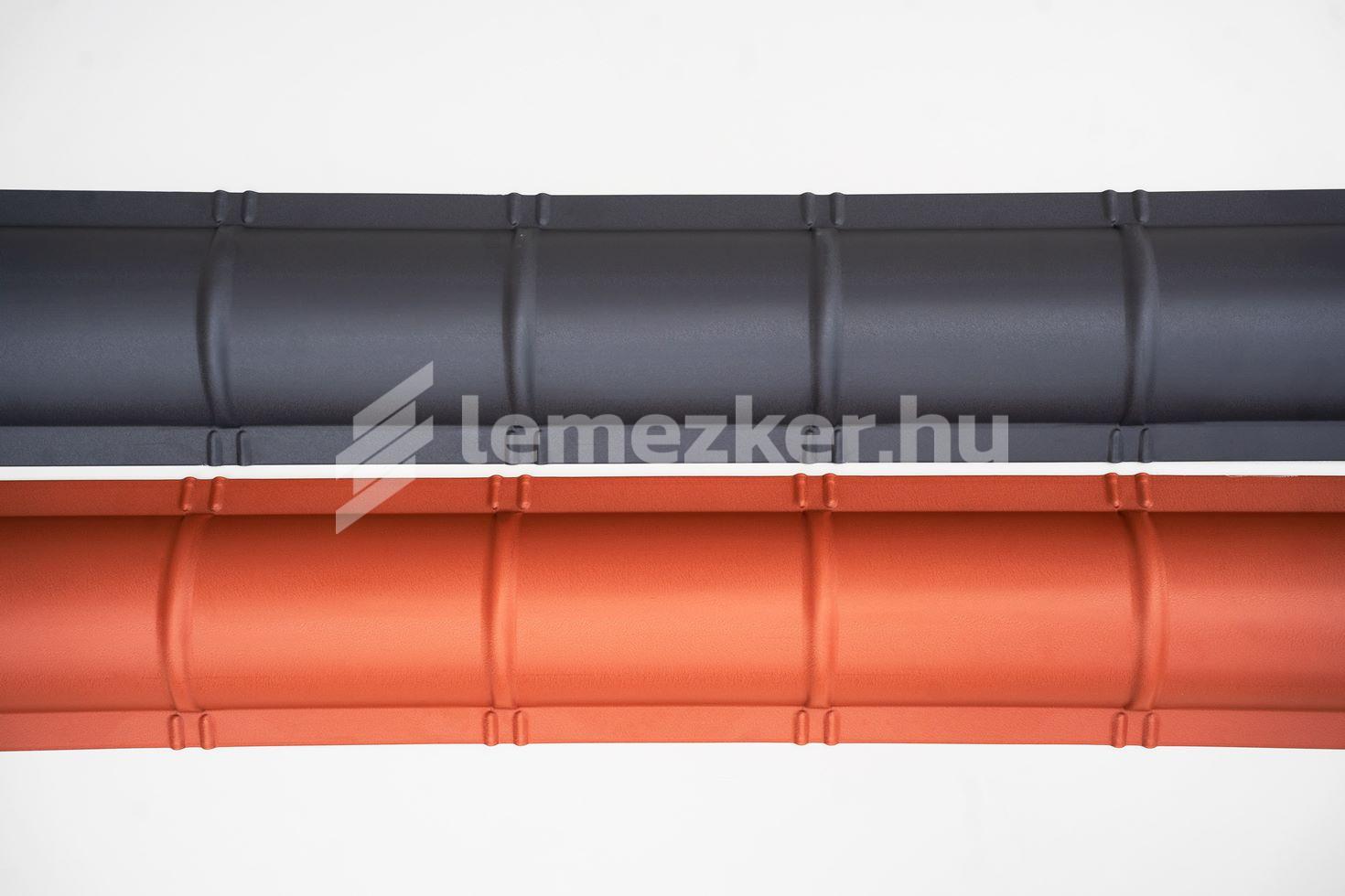 Íves gerincelem - 8