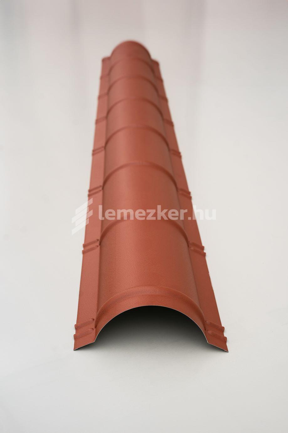 Íves gerincelem - 9