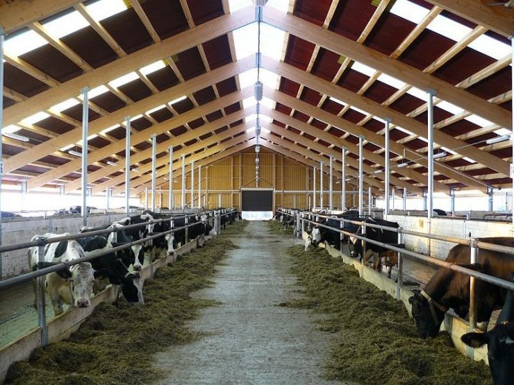 Trapézlemez bevilágító - 4